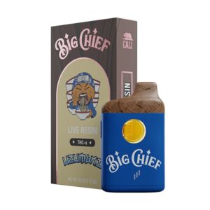 big chief disposable