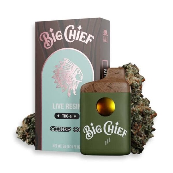 big chief disposable